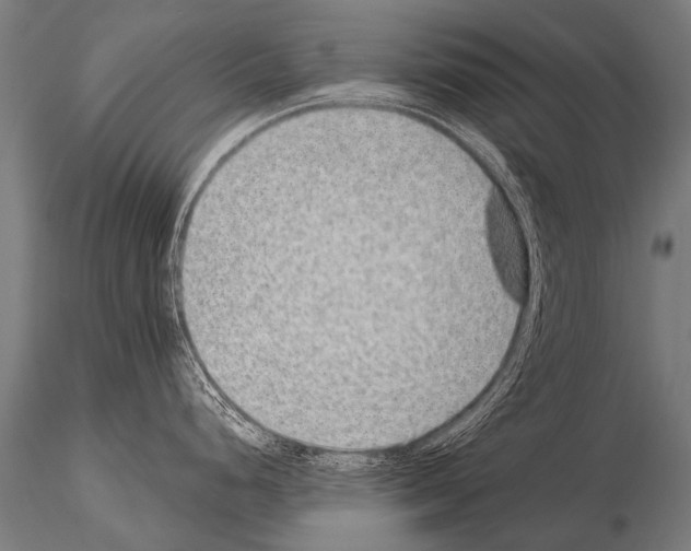 X0000115211248200912091151