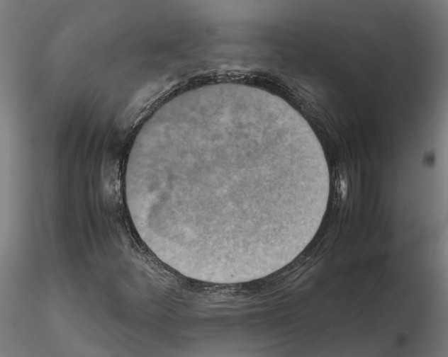 X0000115211252200912091150