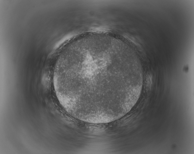 X0000115211254200912091150