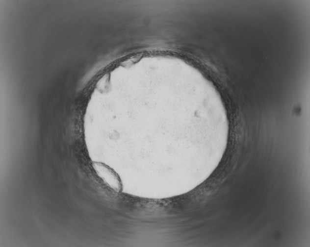 X0000115211255200912091150