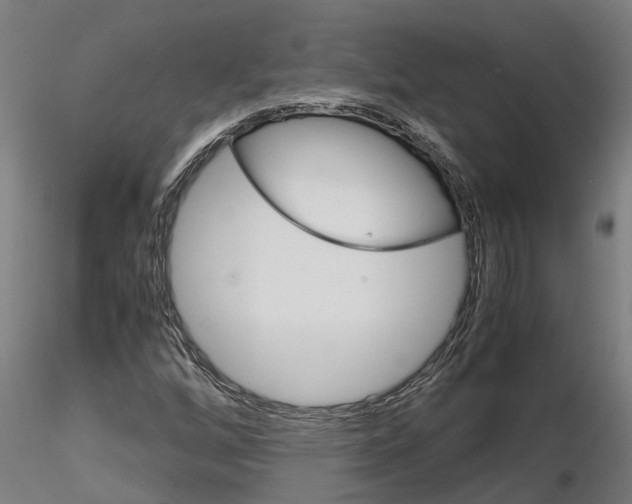 X0000115211256200912091150