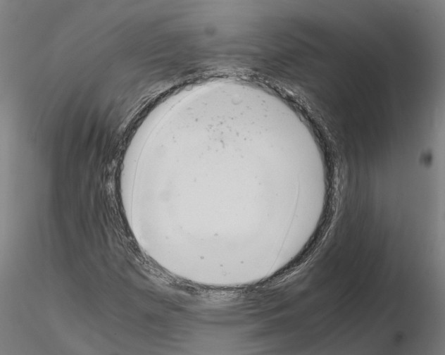 X0000115211257200912091150