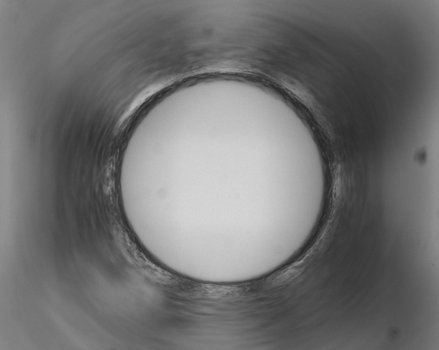 X0000115211258200912091150