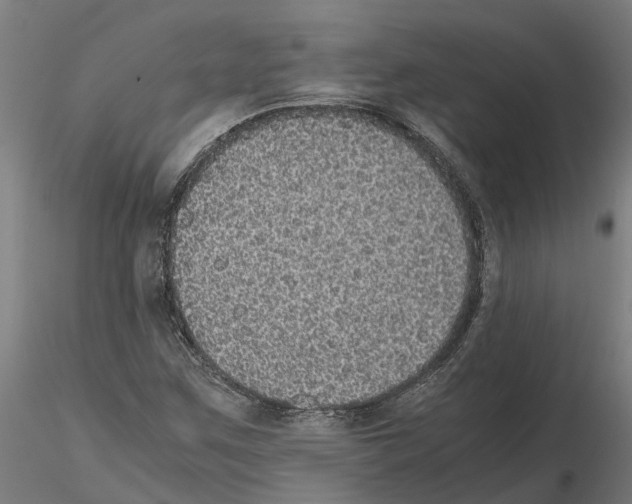 X0000115211259200912091150