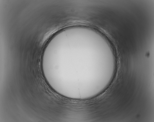 X0000115211261200912091150