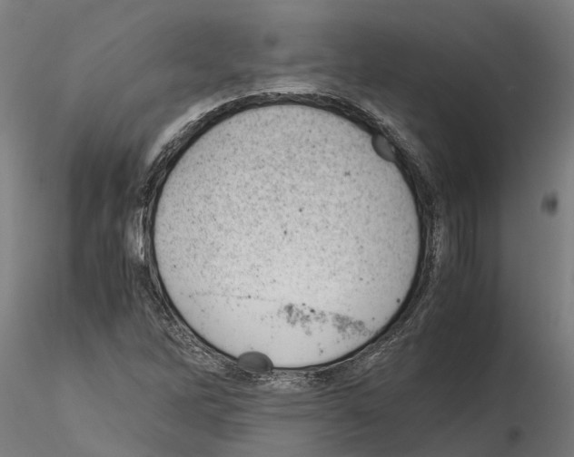 X0000115211262200912091150