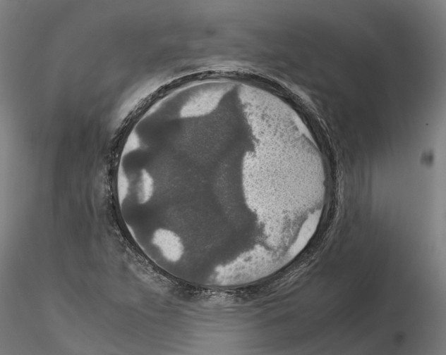 X0000115211263200912091150