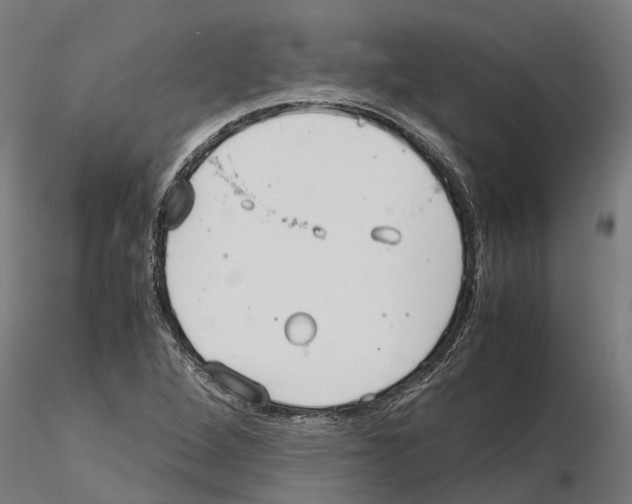 X0000115211264200912091150