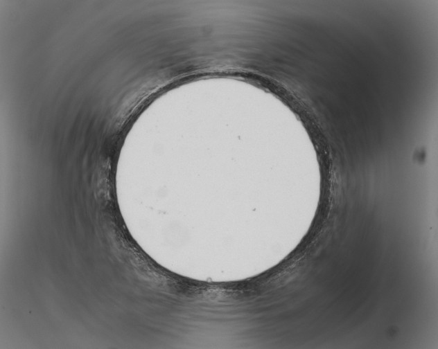 X0000115211265200912091150