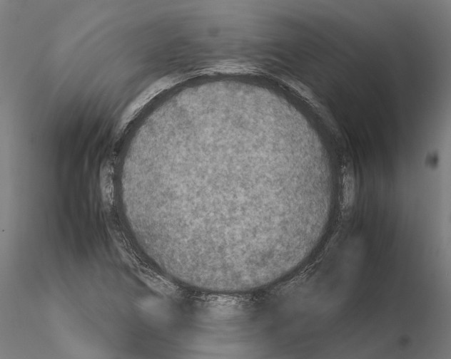 X0000115211266200912091150