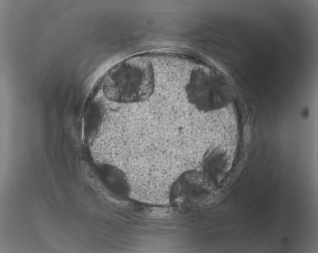 X0000115211267200912091150