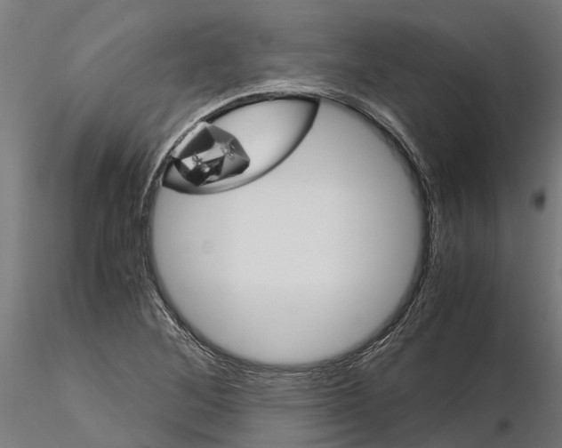 X0000115211268200912091150