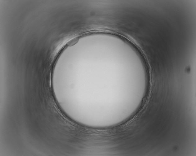 X0000115211269200912091150