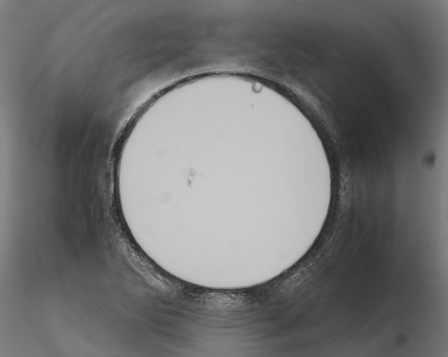 X0000115211270200912091150