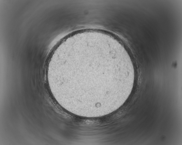 X0000115211271200912091150