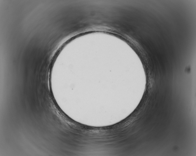 X0000115211272200912091150