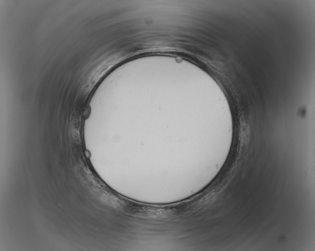 X0000115211273200912091150