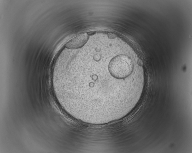 X0000115211274200912091150