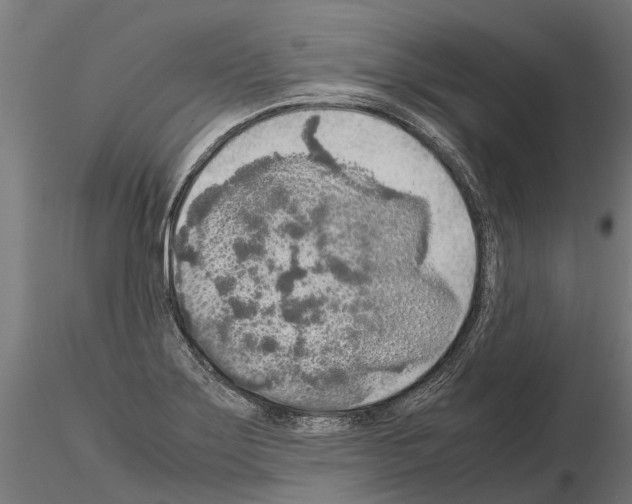 X0000115211275200912091150