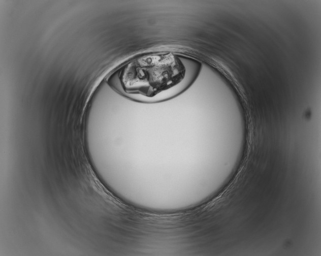 X0000115211276200912091150