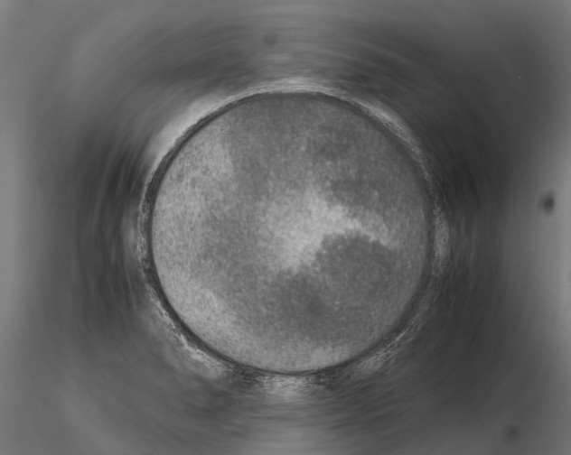 X0000115211278200912091150