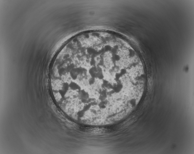 X0000115211279200912091150