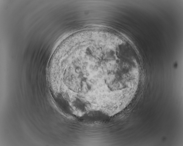 X0000115211283200912091150