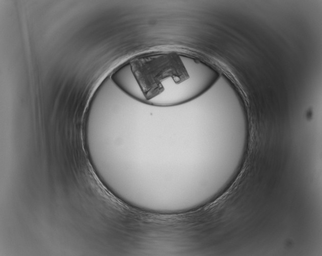 X0000115211284200912091150