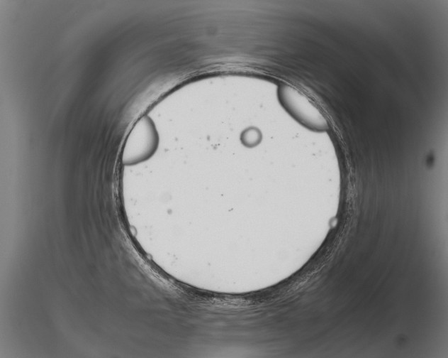 X0000115211285200912091150