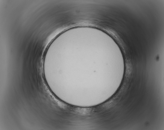 X0000115211286200912091150