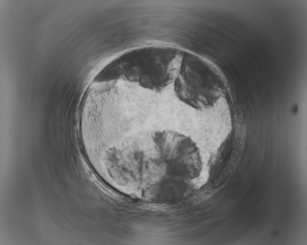 X0000115211287200912091150