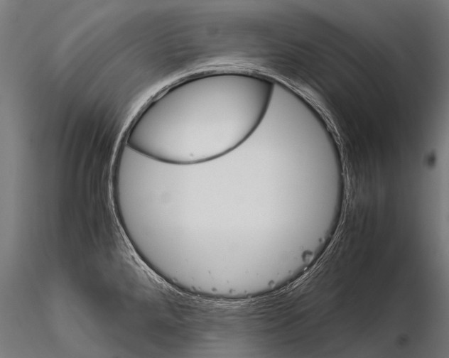 X0000115211288200912091150