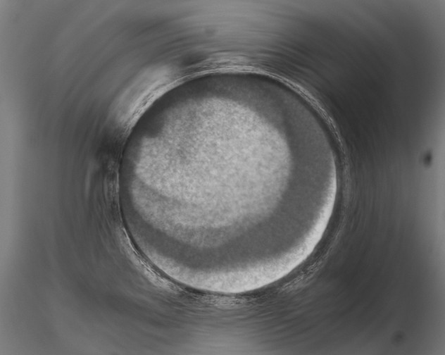 X0000115211289200912091150