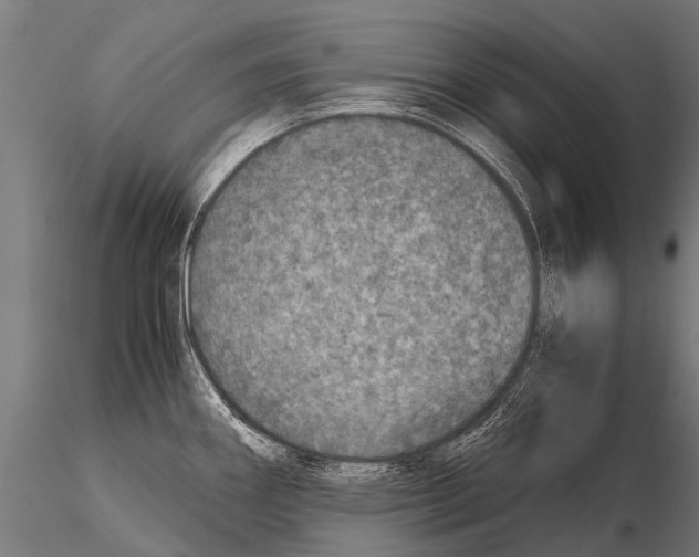 X0000115211290200912091150