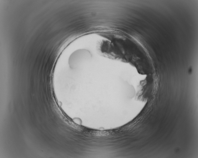 X0000115211291200912091150