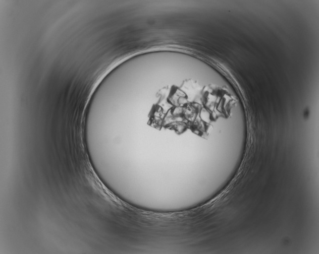 X0000115211292200912091150