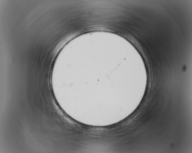 X0000115211293200912091150