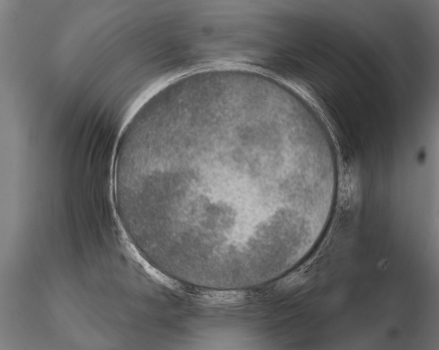 X0000115211294200912091149