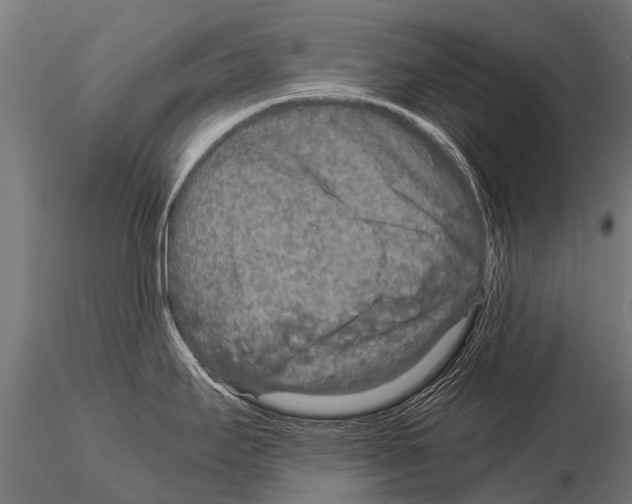 X0000115211295200912091149