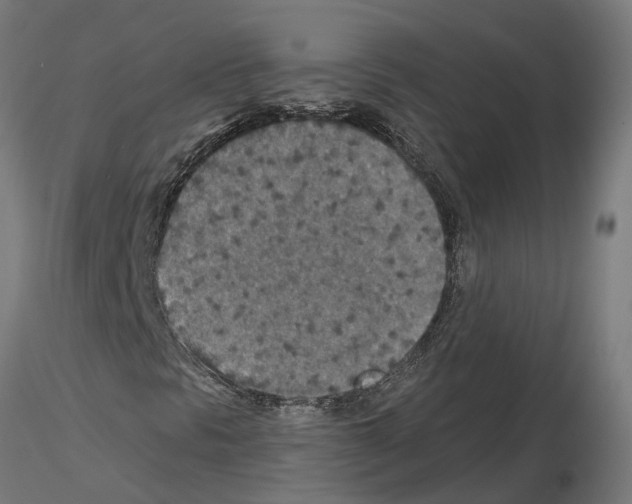 X0000115211297200912091149