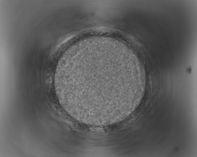 X0000115211302200912091149