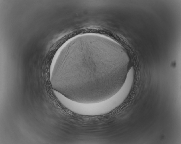 X0000115211303200912091149