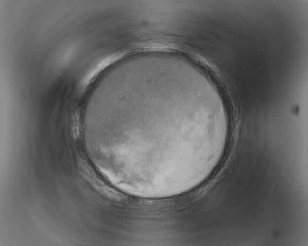 X0000115211306200912091149