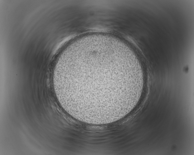 X0000115211307200912091149