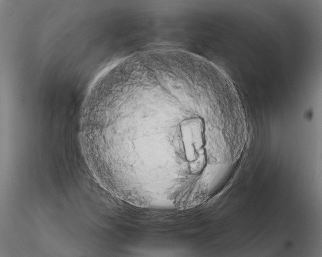 X0000115211309200912091149