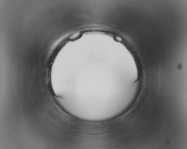 X0000115211310200912091149