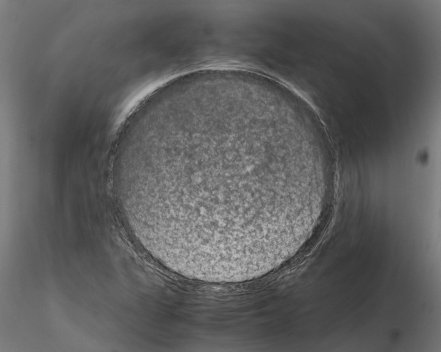 X0000115211311200912091149