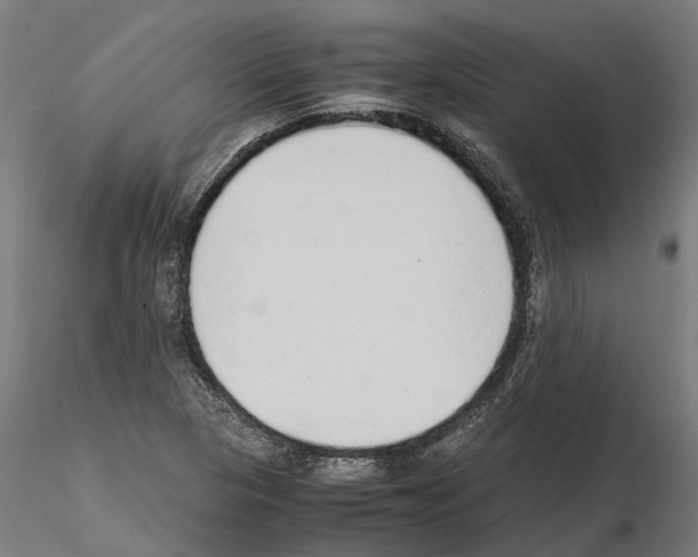 X0000115211313200912091149