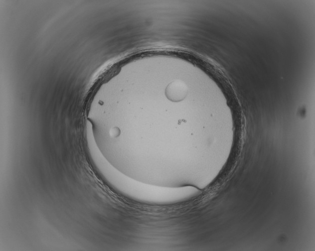 X0000115211314200912091149