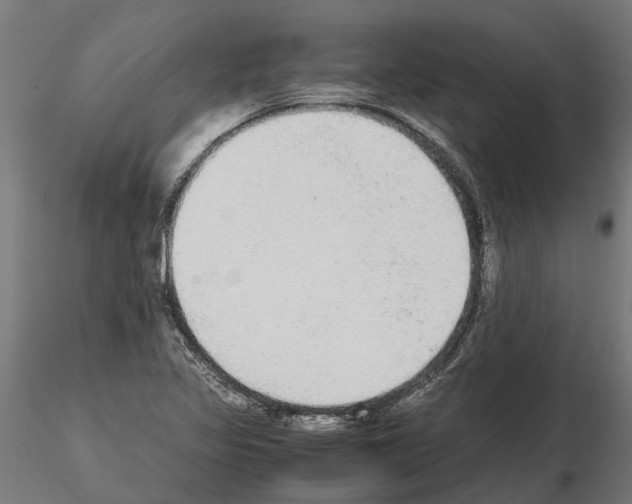 X0000115211317200912091149